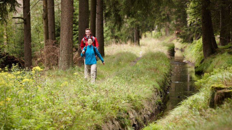 Upper Harz Regale Water Management System, © Harzer Tourismusverband / M. Gloger