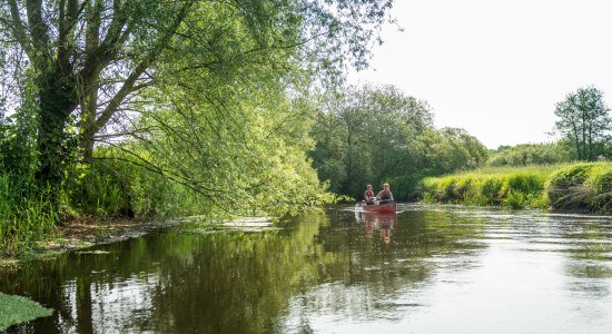 Couple is canoeing on the Ilmenau river in the Lüneburger Heide, © Lüneburger Heide GmbH / Dominik Ketz