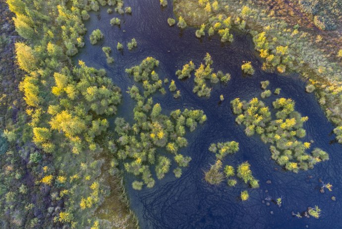 Aerial view of Neustädter Moor near Wagenfeldwith trees and water, © TourismusMarketing Niedersachsen GmbH / Willi Rolfes