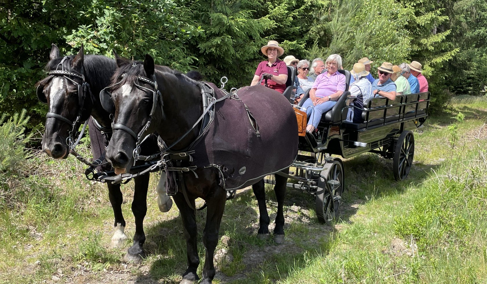 Luftgefederte Wagonette, © TraumzeitHof