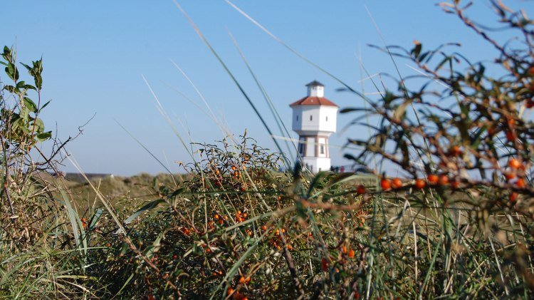 Langeoog Water Tower, © Ostfriesland Tourismus GmbH / www.ostfriesland.de Langeoog Water Tower, © Ostfriesland Tourismus GmbH / www.ostfriesland.de