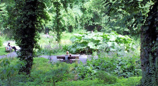 Old Botanical Garden Göttingen, © Göttingen Tourismus e.V. / Angelika Daamen Old Botanical Garden Göttingen, © Göttingen Tourismus e.V. / Angelika Daamen
