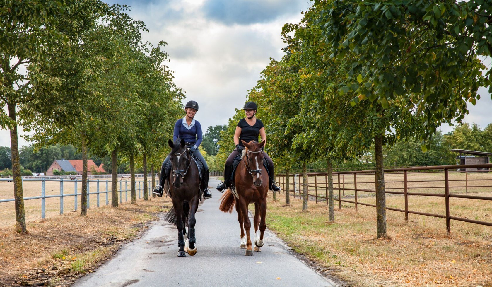 Horseback riding in Vechta, © malopo