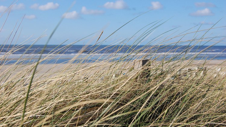 Spiekeroog, © Ostfriesland Tourismus GmbH / www.ostfriesland.de Spiekeroog, © Ostfriesland Tourismus GmbH / www.ostfriesland.de