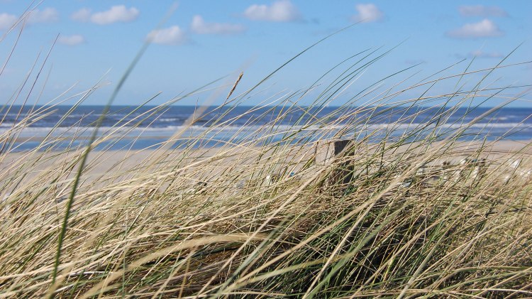 Spiekeroog, © Ostfriesland Tourismus GmbH / www.ostfriesland.de