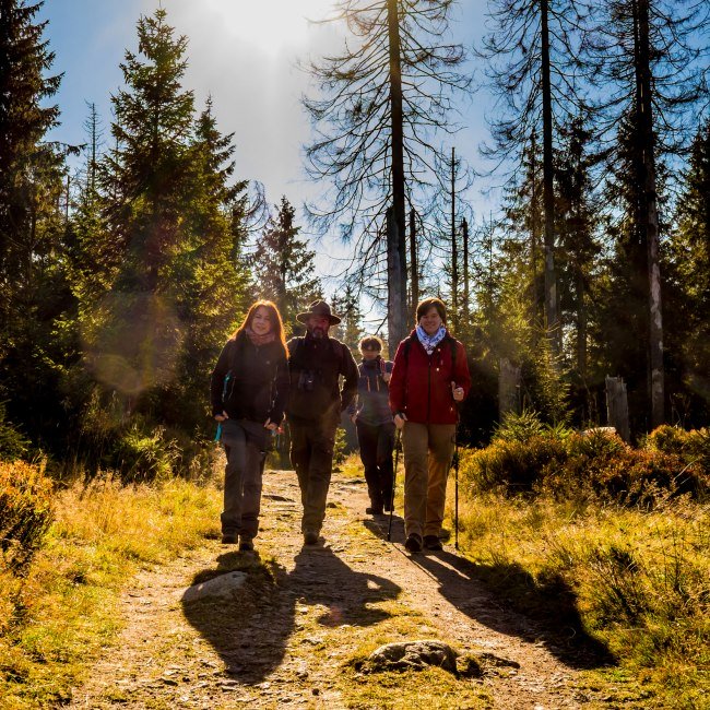 Ranger guided tour, © Nationalpark Harz / dietrichkuehne.com