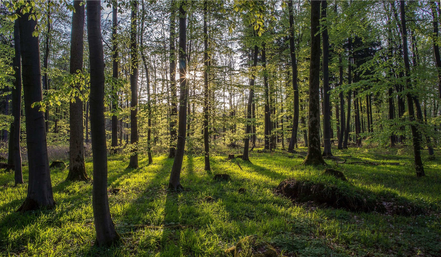 Im Naturpark Weserbergland, © Touristikzentrum Westliches Weserbergland / Kurt Gilde