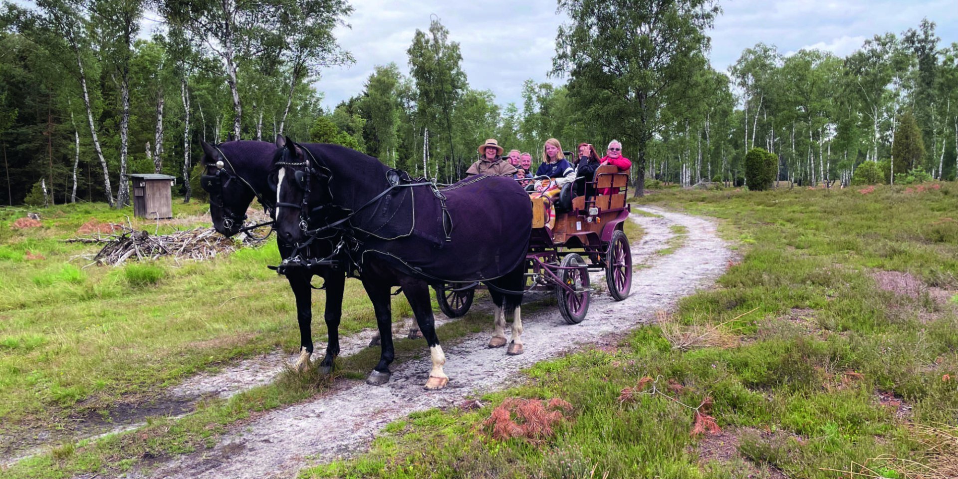 TZR_Kleine_Heiderundfahrt_202307251D5868_korr, © Jürgen Reimer