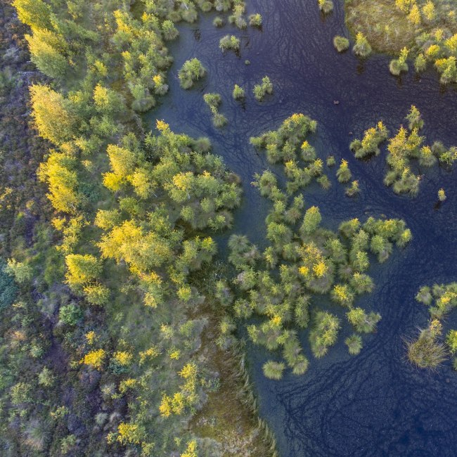 Aerial view of Neustädter Moor near Wagenfeldwith trees and water, © TourismusMarketing Niedersachsen GmbH / Willi Rolfes
