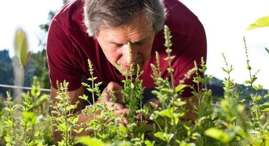 Herbs, © Fotolia / M.Dörr &amp; M.Frommherz