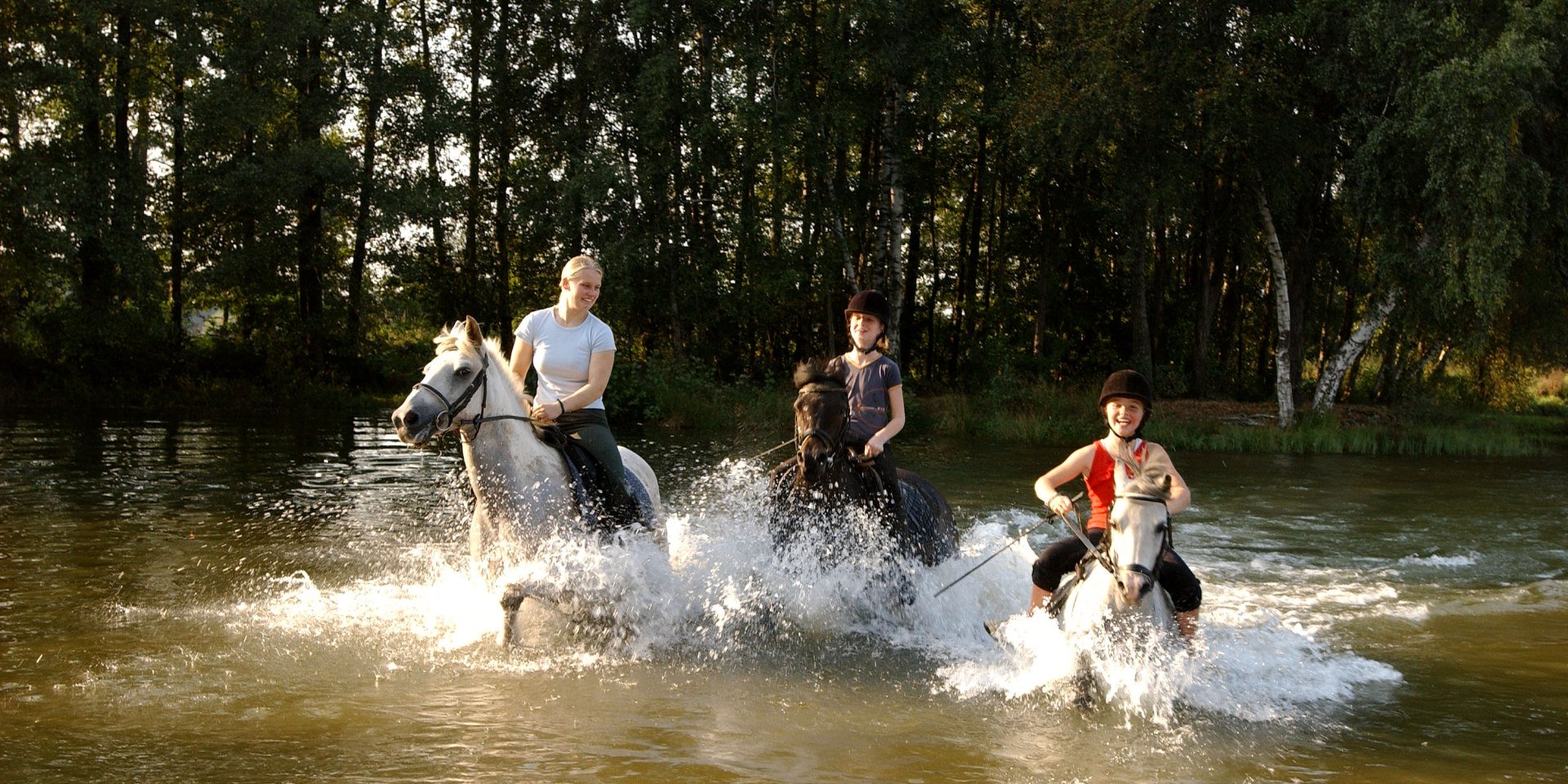 Horses, © Matthias Niehues Horses, © Matthias Niehues