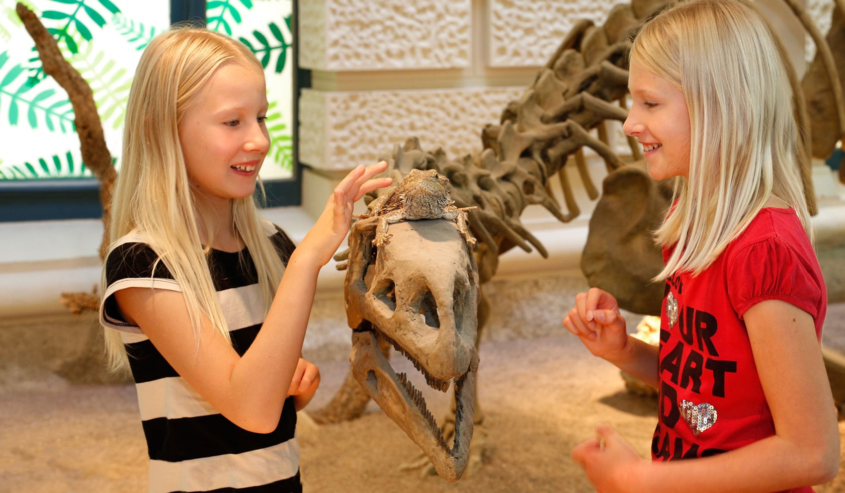 Visit to the nature worlds, © Landesmuseum Hannover