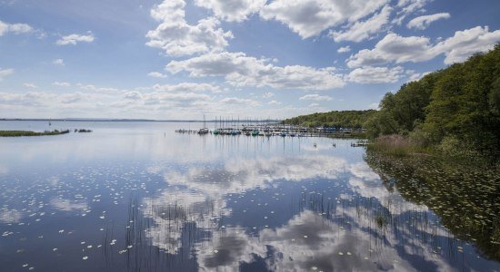 View of the Steinhuder Meer, on the right sailboats at the berth
, © Naturpark Steinhuder Meer, Region Hannover/ Claus Kirsch