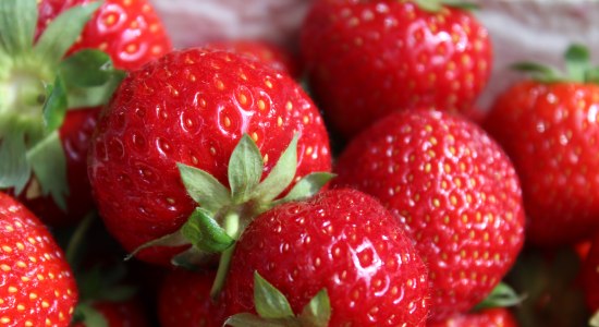 Strawberries, © Mittelweser-Touristik GmbH