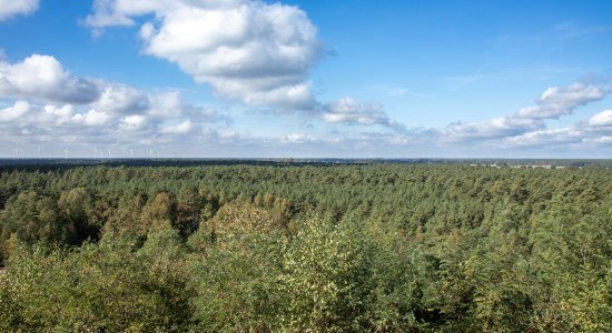 Wietze-Wietzer-Oelberg-Aussicht-Fruehherbst-ccbysa-Ploeger-241006-6908, © Lüneburger Heide GmbH/Tanja Ploeger