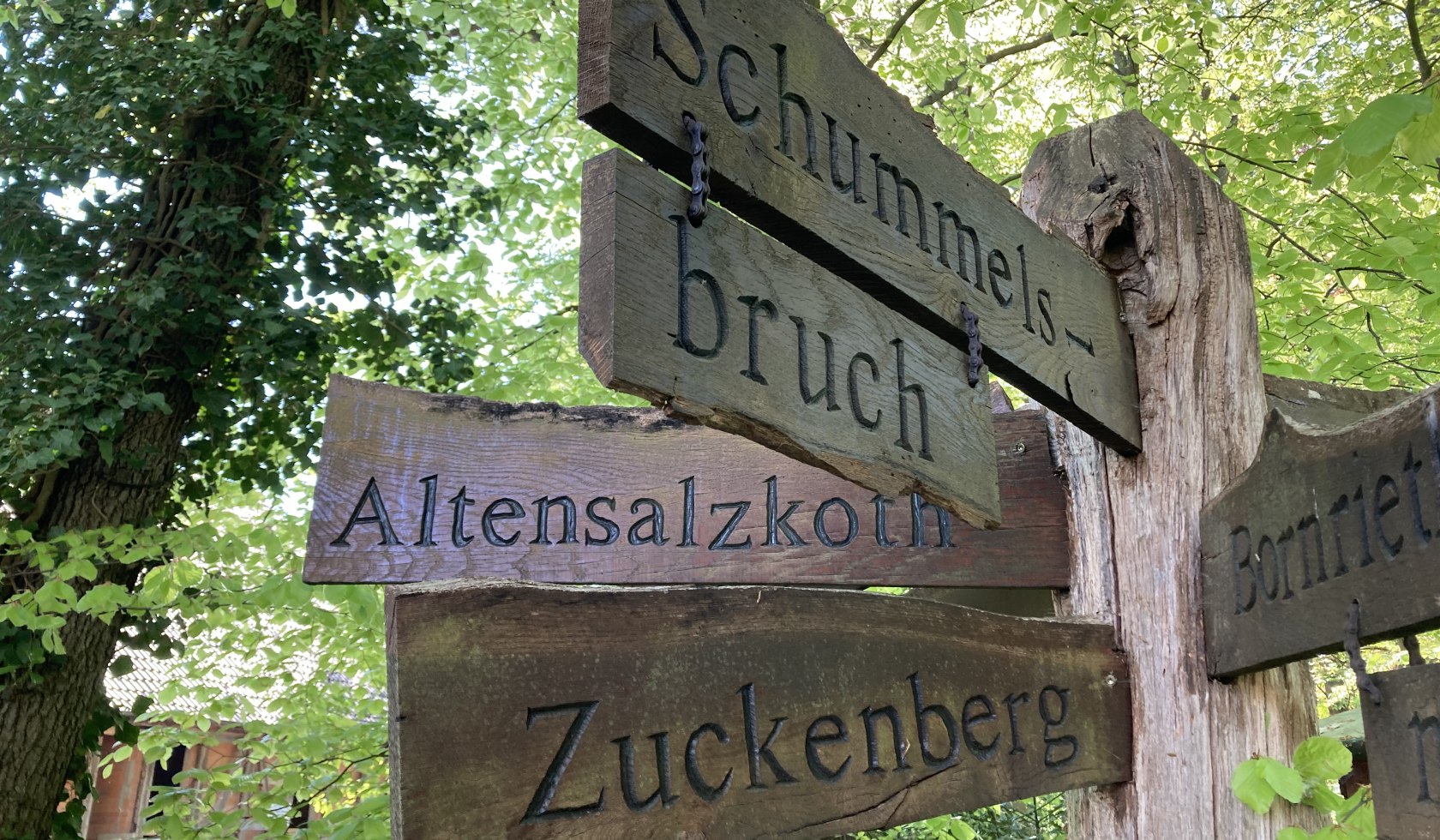 Sülze-Saline-ccbysa-GLink-250606-1, © Lüneburger Heide GmbH