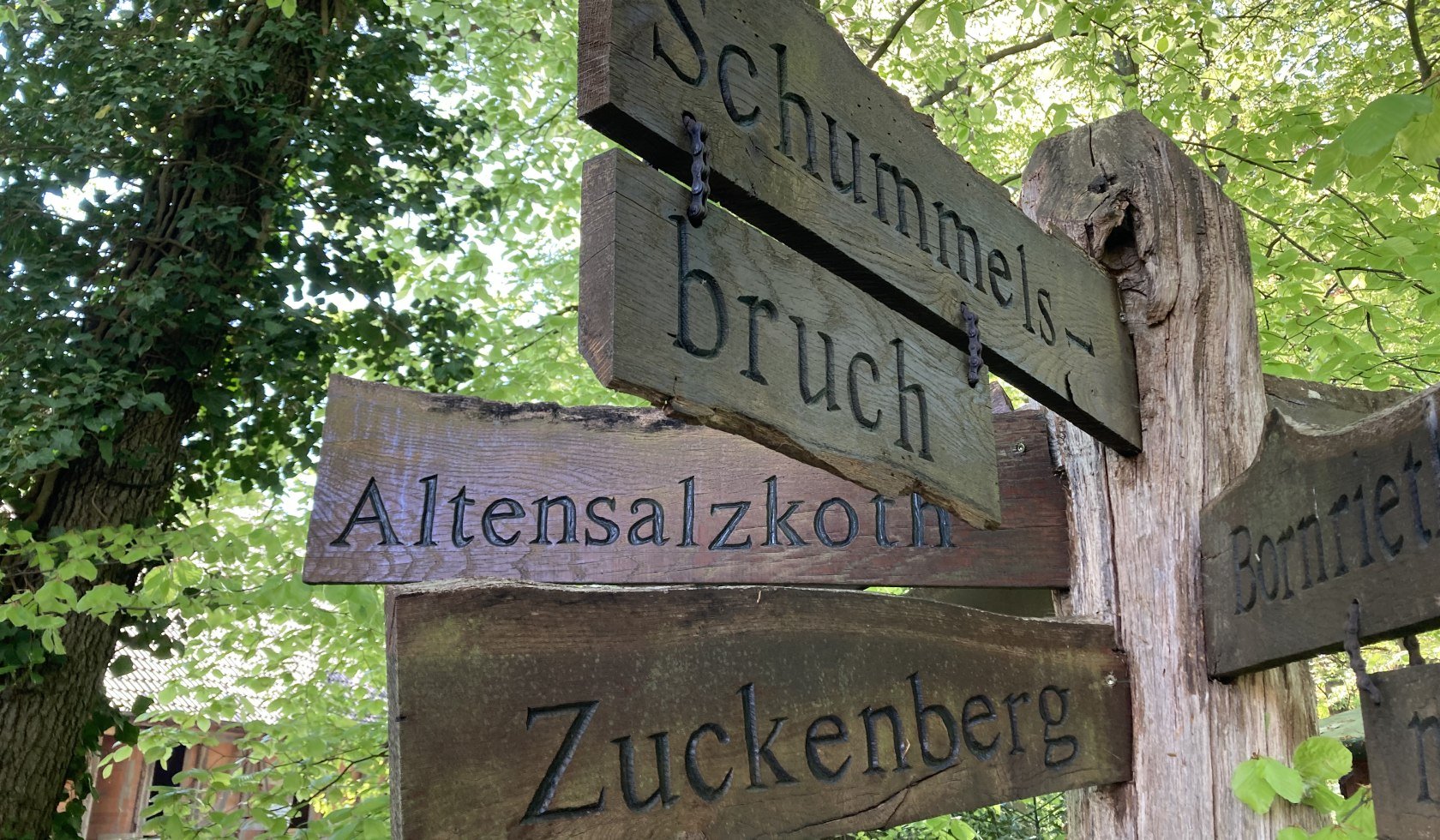 Sülze-Saline-ccbysa-GLink-250606-1, © Lüneburger Heide GmbH