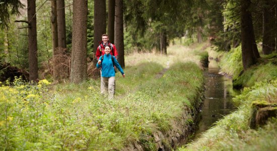 Upper Harz Regale Water Management System, © Harzer Tourismusverband / M. Gloger