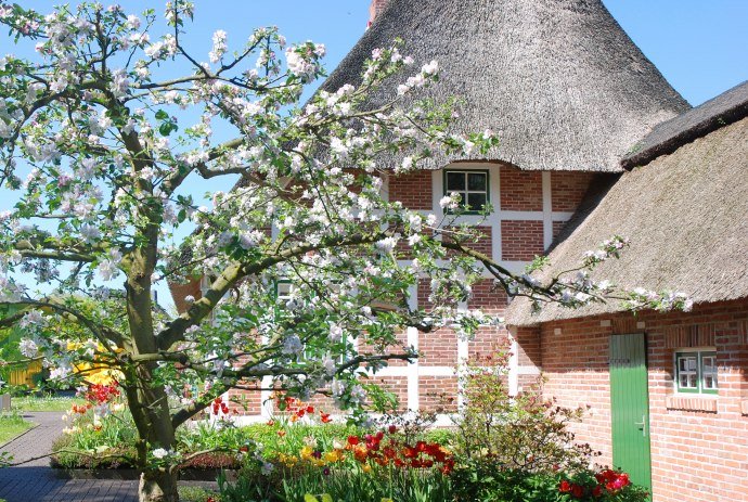 Thatched house in Cuxland, © Cuxland-Tourismus / Bernd Schlüsselburg