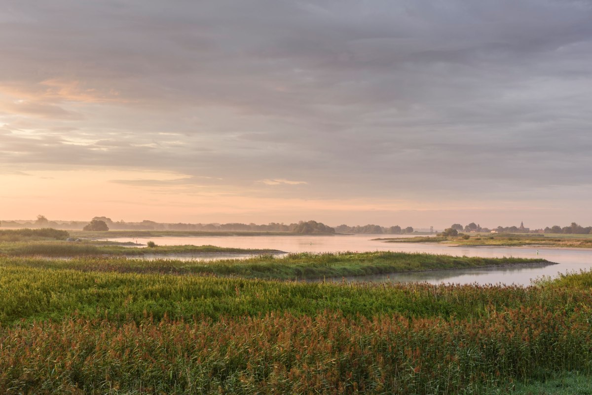 Elbtalaue in the morning, © TourismusMarketing Niedersachsen GmbH / Dieter Damschen