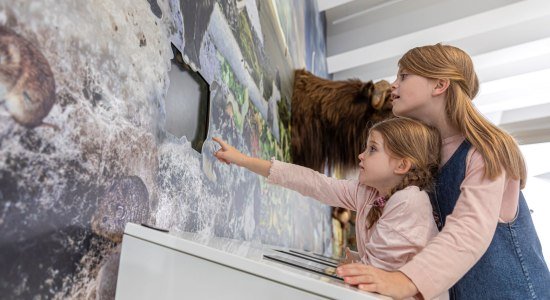 Kinder im Museum, © TMN/ Christian Bierwagen