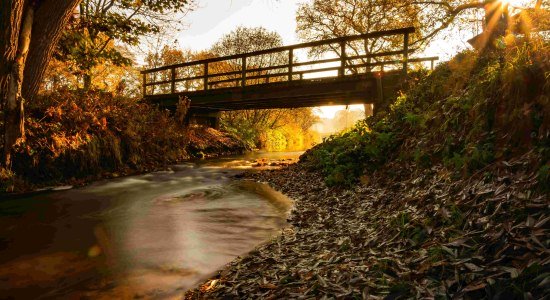 Bridge by the river, © Touristikverband Landkreis Rotenburg (Wümme) e.V. / Björn Wengler