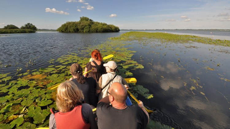 Canoeing on the Dümmer, © DümmerWeserLand-Touristik/ Oliver Lange