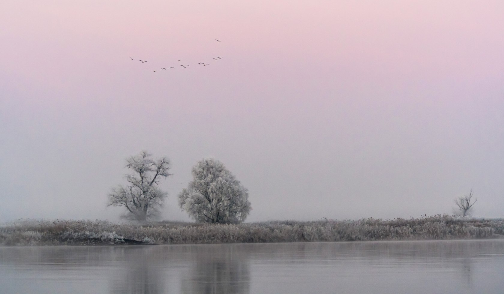 Elbe in winter with morning mood, © TourismusMarketing Niedersachsen GmbH / Dieter Damschen