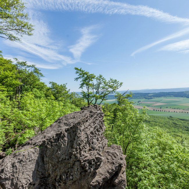 Ausblick Ith Hils Weg, © Tourismuszentrale östliches Weserbergland