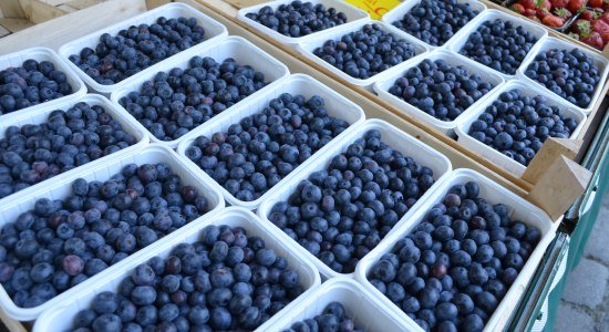 Blueberries at the weekly market in Leer., © Ostfriesland Tourismus GmbH / www.ostfriesland.de