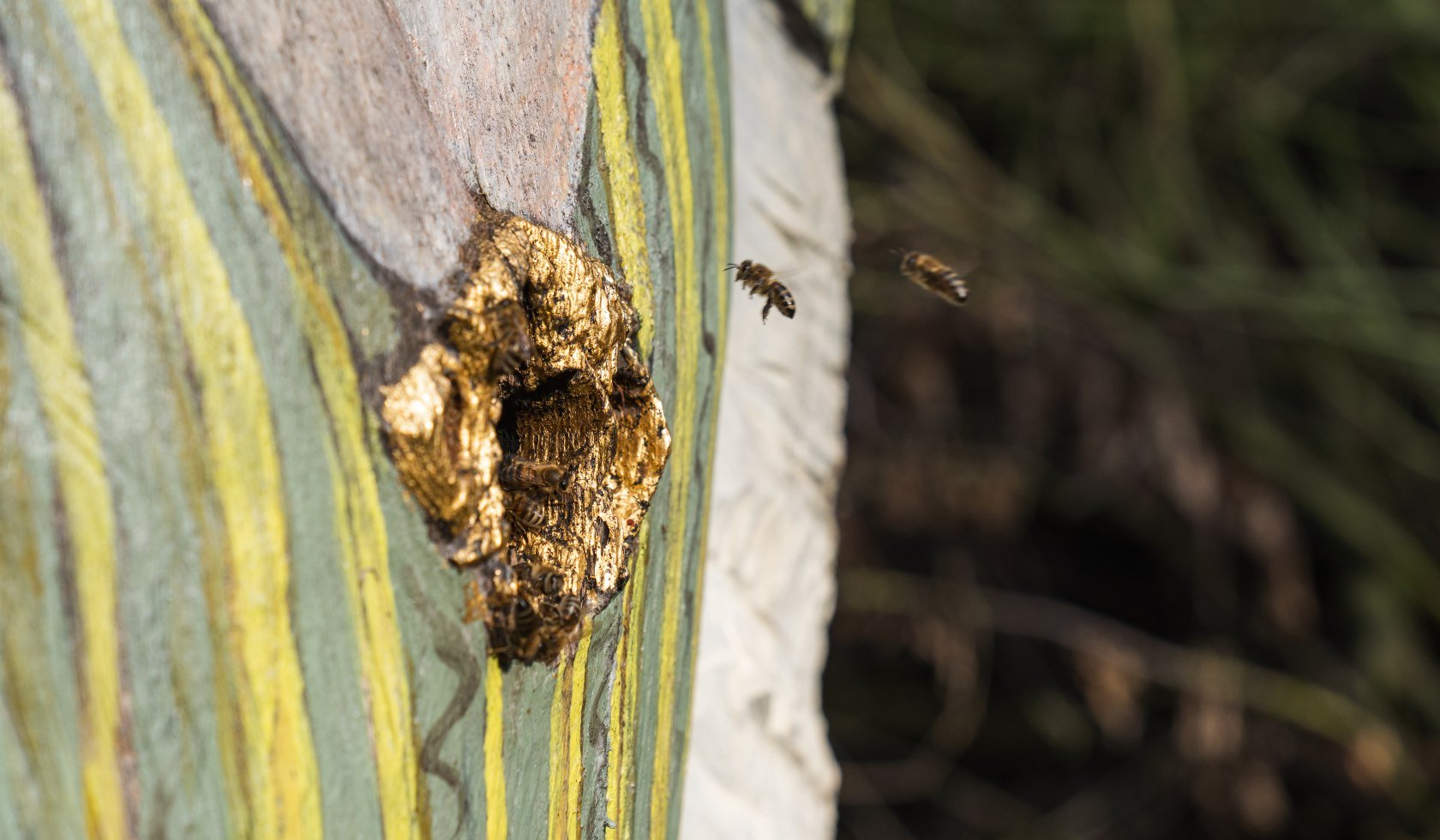 Figure loot with wooden room as a retreat for bees, © TourismusMarketing Niedersachsen GmbH 