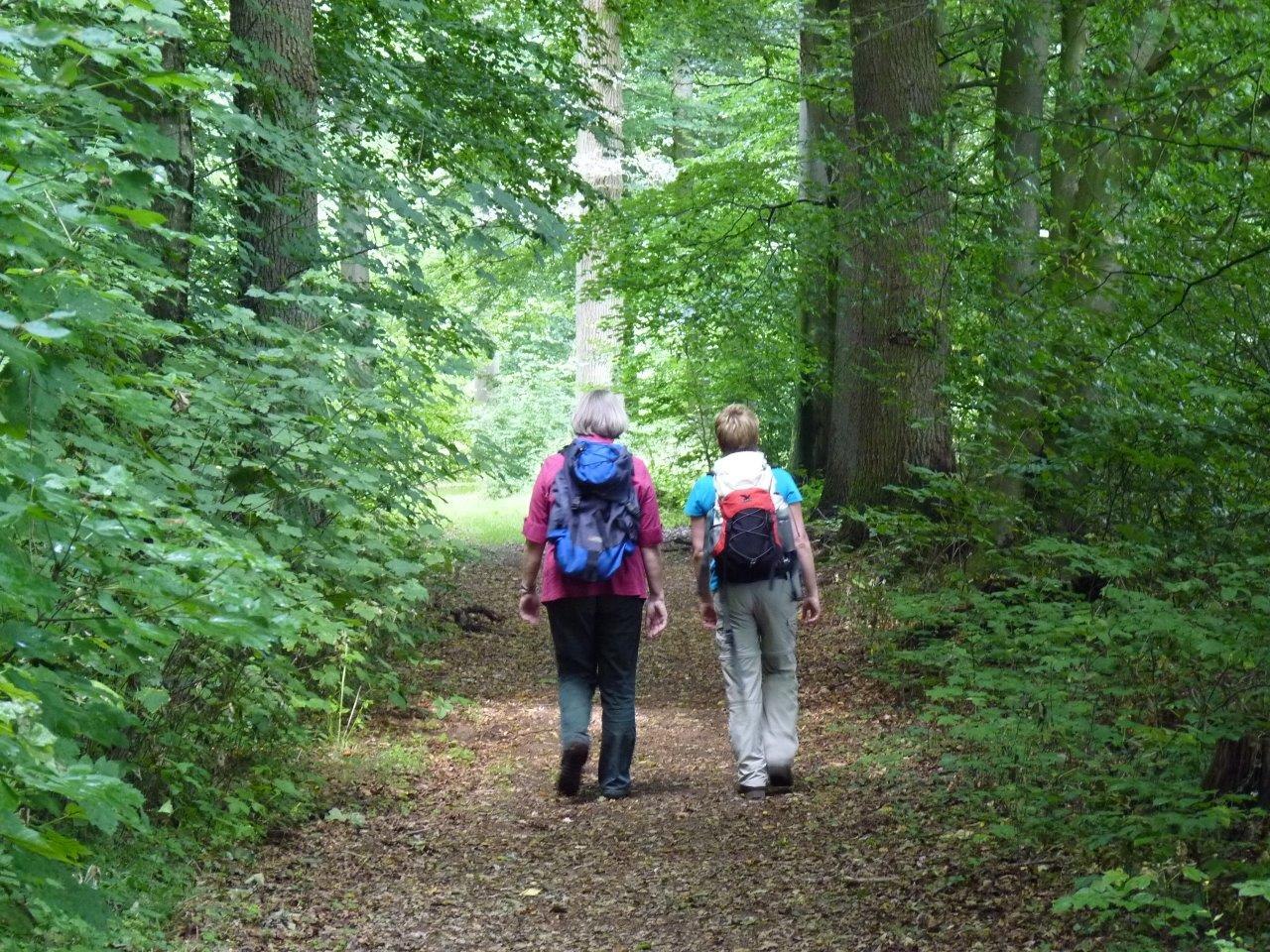 Kuhmühler forest, © Touristikverband Landkreis Rotenburg (Wümme)  e.V./ Udo Fischer/ Petra Welz