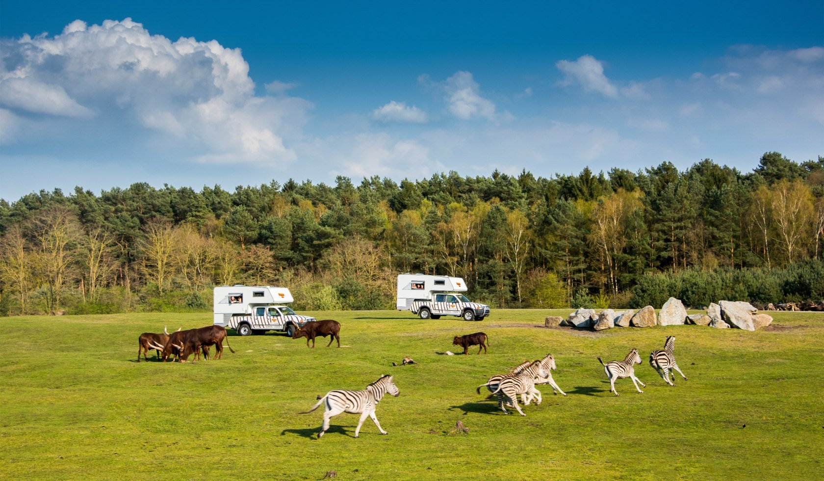 Safari, © Serengeti Park Hodenhagen