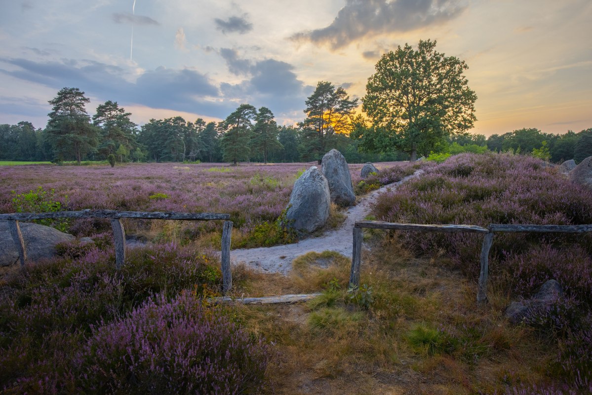 Oldendorf cenotaph, © LÜNEBURGER HEIDE GMBH / A. Kaßner