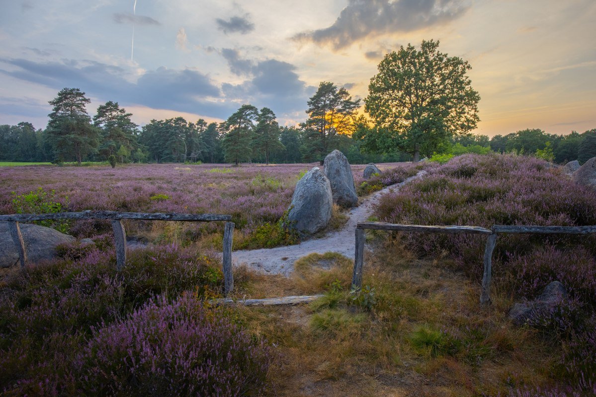 Oldendorf cenotaph, © LÜNEBURGER HEIDE GMBH / A. Kaßner Oldendorf cenotaph, © LÜNEBURGER HEIDE GMBH / A. Kaßner