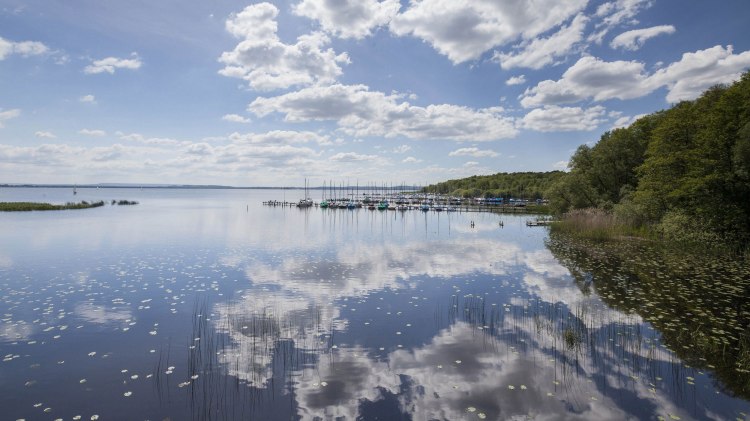 View of the Steinhuder Meer, on the right sailboats at the berth
, © Naturpark Steinhuder Meer, Region Hannover/ Claus Kirsch