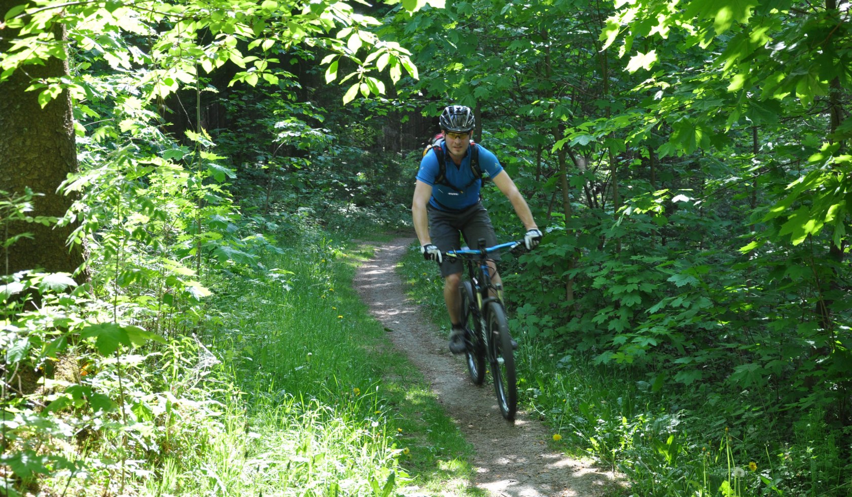 Mountain bikers in Solling-Vogler on the way, © Solling-Vogler-Region