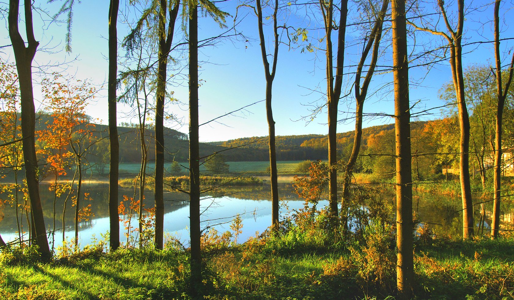 Autumn mood in Reitlingstal, © Naturpark Elm-Lappwald/ Ulrich Scheithauer
