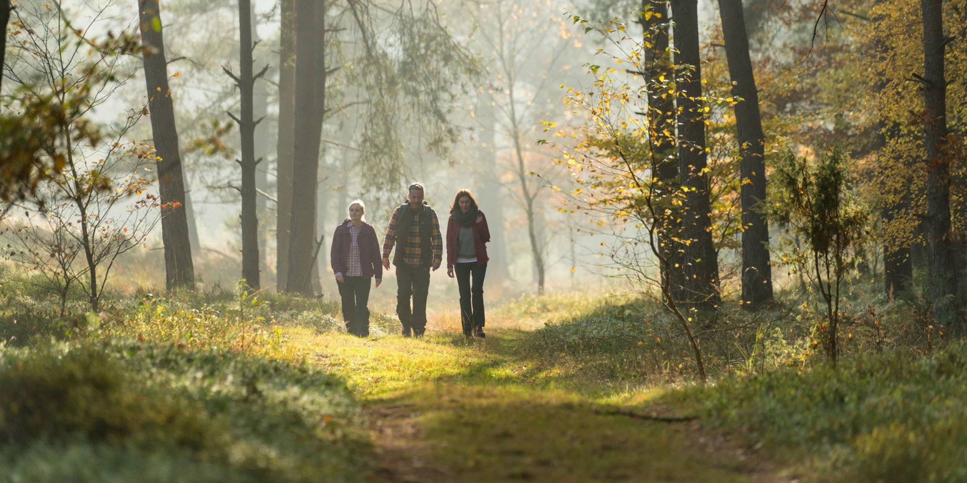 Autumn Hike in Tiefental EN, © Lüneburger Heide GmbH/ Dominik Ketz