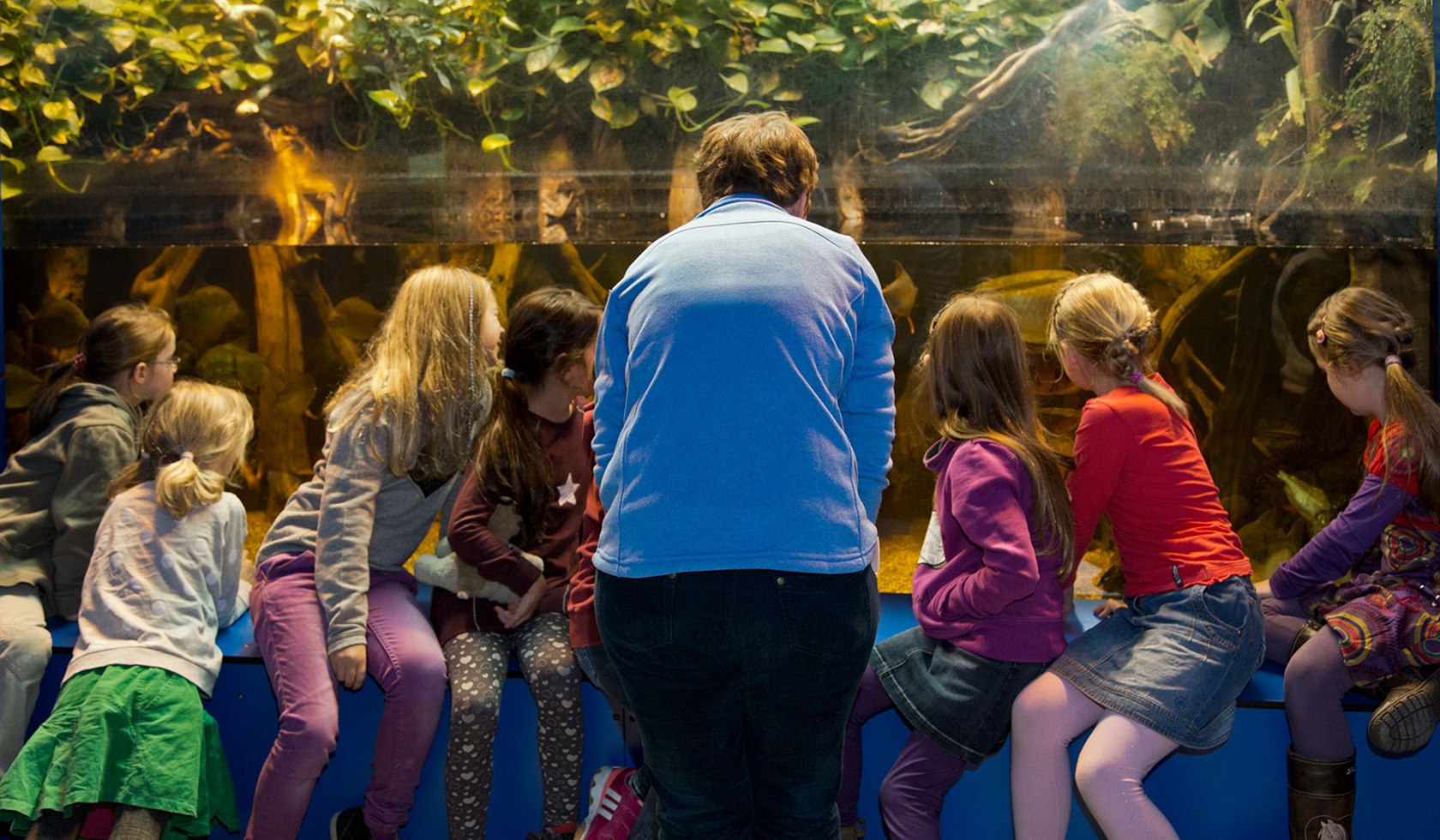 Guided tour through the water worlds, © Landesmuseum Hannover