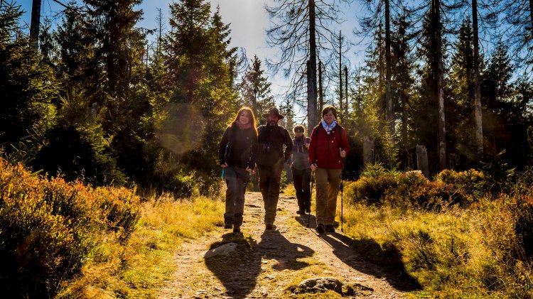 Ranger guided tour, © Nationalpark Harz / dietrichkuehne.com