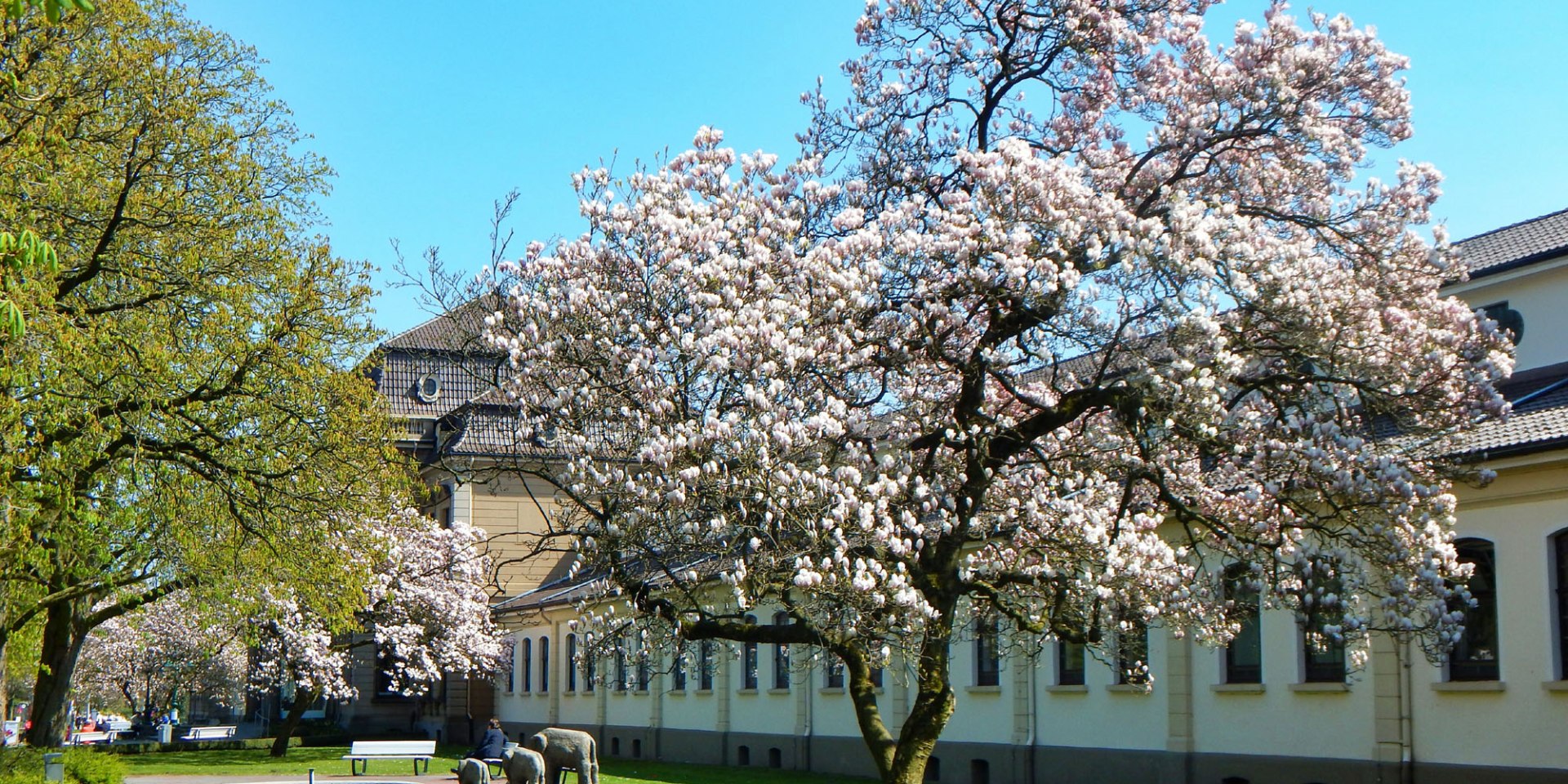 Kurpark in front of the Kurmittelhaus in Bad Rothenfelde, © Tourismusverband Osnabrücker Land e.V.