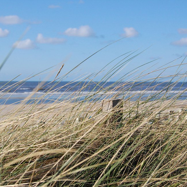 Spiekeroog, © Ostfriesland Tourismus GmbH / www.ostfriesland.de