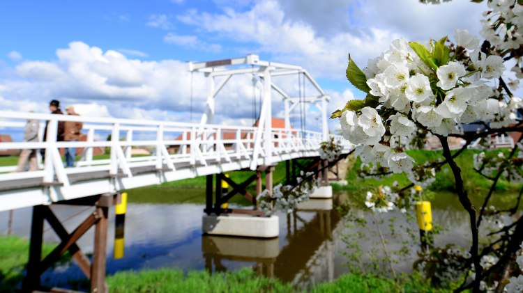 Nordseeküste, © Tourismusverband Landkreis Stade/Elbe e.V./ Martin Elsen