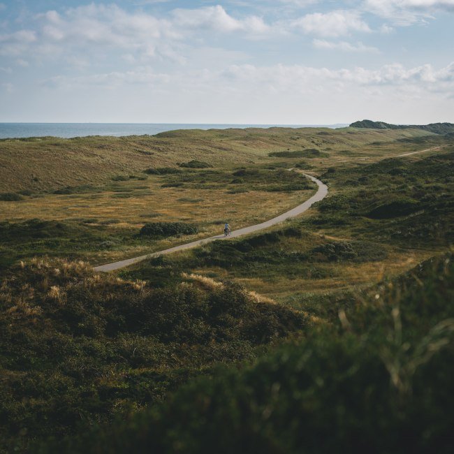 Bicycle path on Langeoog, © TMN/ Max Fischer