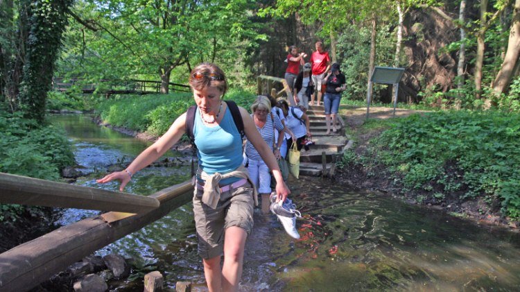 Ford on the barefoot path, © Kurverwaltung Bad Bodenteich/ Jürgen Clauß