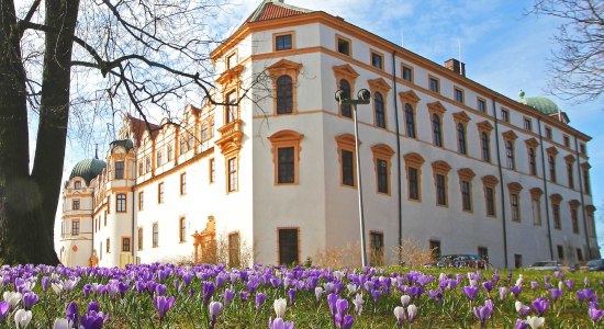 Celle Castle, © Celle Tourismus und Marketing GmbH/ K. Behre