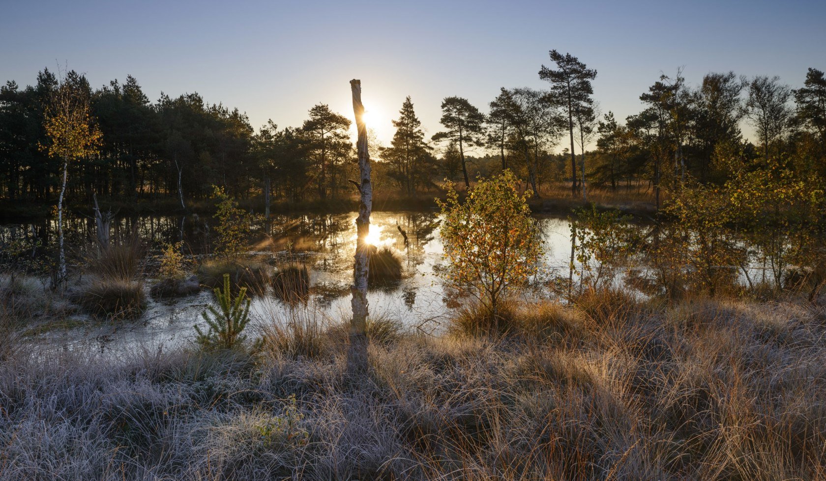 Pietzmoor near Schneverdingen in morning light with hoarfrost on the plants, © Bildagentur Huber/ Andreas Keil