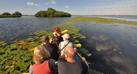 Canoeing on the Dümmer, © DümmerWeserLand-Touristik/ Oliver Lange