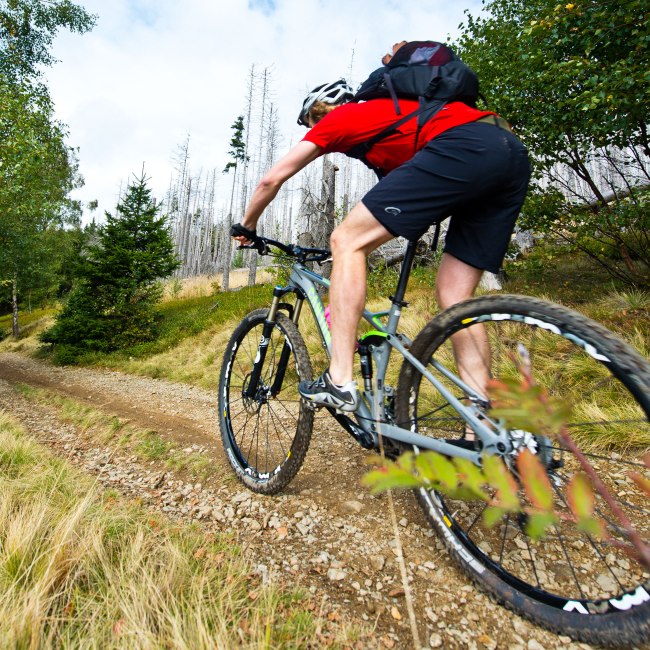 Mountain biker on an ascent in the Harz, © TMN/Maruba b.V. Sports Publishers